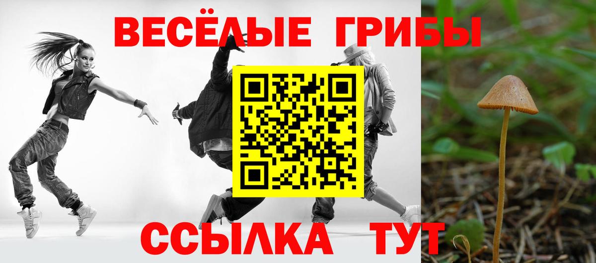 Галлюциногенные грибы GOLDEN TEACHER  Вход с VPN  Краснокамск 